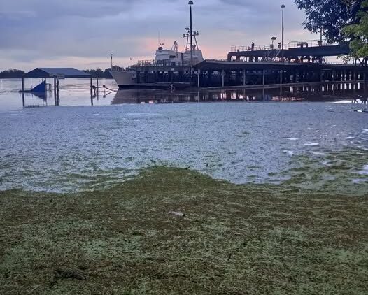 Se prevé un descenso paulatino del río Uruguay para los próximos días – Arriba Noticias Se prevé un descenso paulatino del río Uruguay para los próximos días – Arriba Noticias